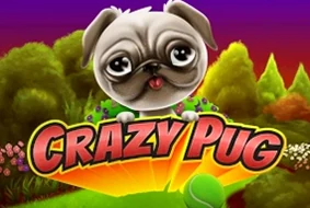 Crazy Pug