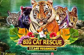 Big Cat Rescue Megaways